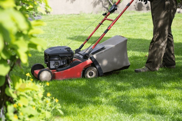 How to Cut Your Water Bill by 40% with Smarter Irrigation