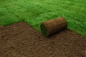 Sod Installation Services